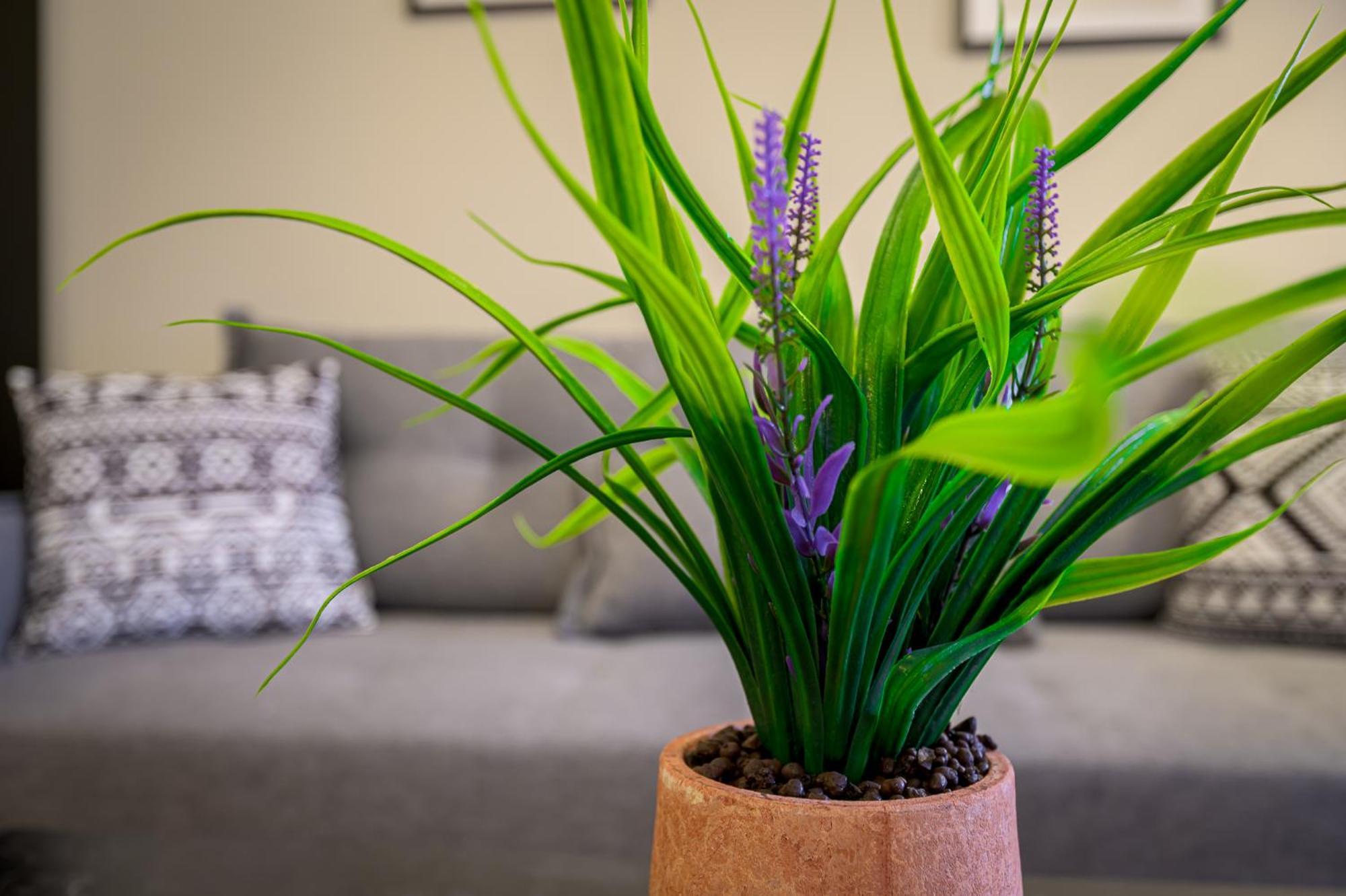 Apartment Cosy Urban Escape Alexandroupoli